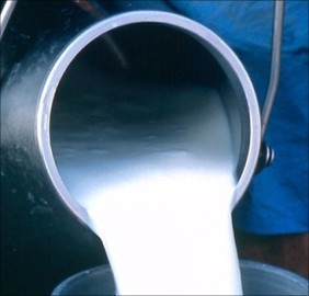 1303898196361 Краткий обзор российского рынка молочной продукции 2011