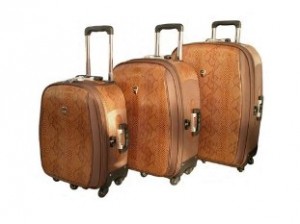 4em-300x224 Свежая бизнес идея: прокат чемоданов