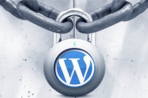 press19-300x200 Улучшения безопасности WordPress : полезные советы